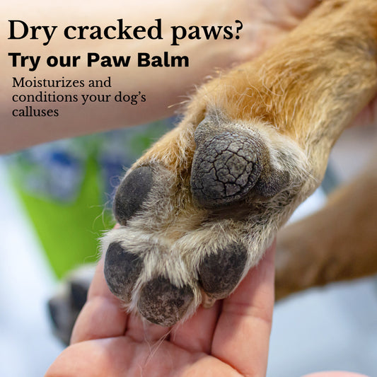 Paw Balm