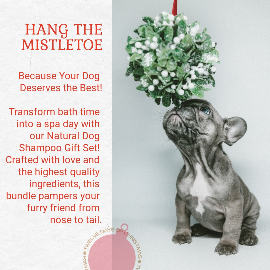 Dog Lovers Gift