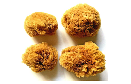 natural wool sea sponge 3 inch PRODUCT FOOTPRINTS Natural ingredients Phthalate, Sulfate, Petroleum & Paraben Free Vegan Free of Synthetic Fragrances Free of Synthetic Dyes GMO & Gluten-free Non Toxic Handmade Sustainable Innovation Made in the USA Cruelty Free Zero Waste Low Carbon Footprint eco friendly   Holiday care package gift box gift for her relaxation gift self care box self care gift box spa gift box spa gift set thank you gift box birthday gift new mom gift relaxing bath set spa gift set spa kit