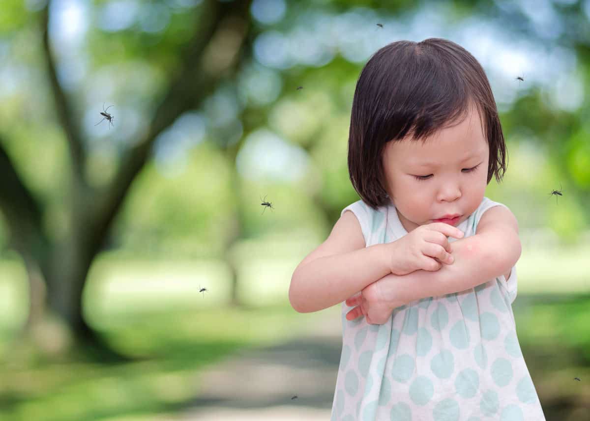 Mosquito Repellent Bug Spray - DEET free