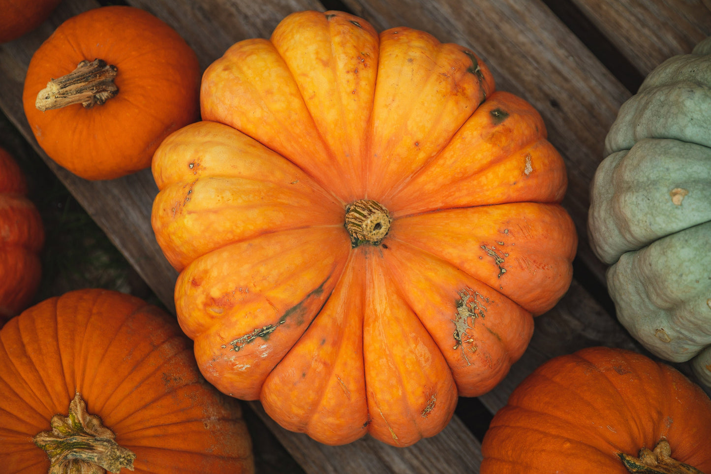Pumpkin Spice Soap